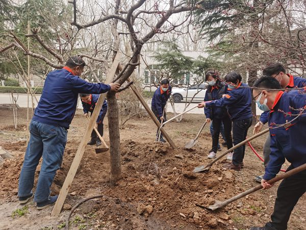 1656381096106232.jpg 03.jpg